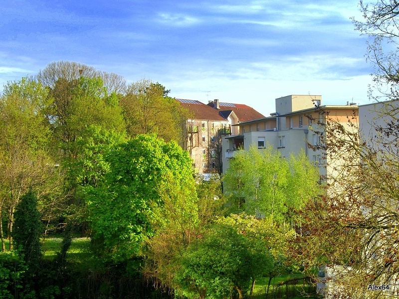 135.jpg