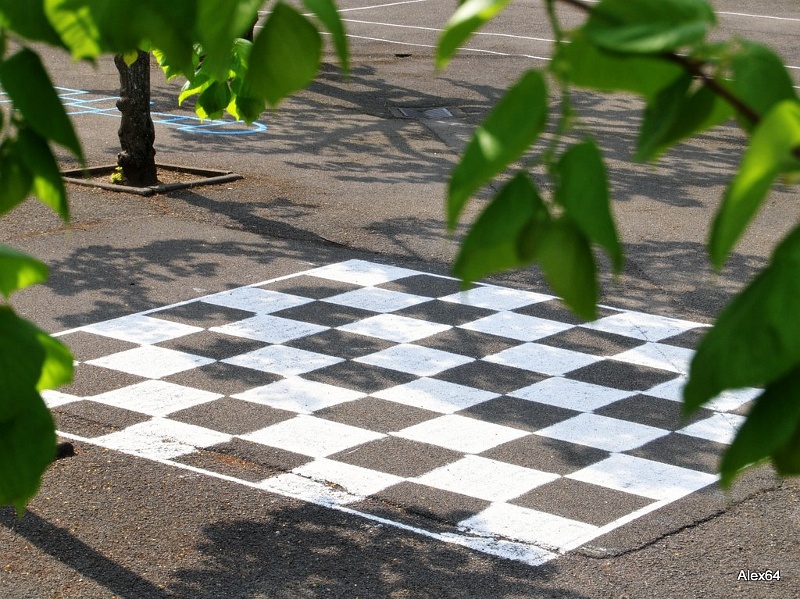142.jpg