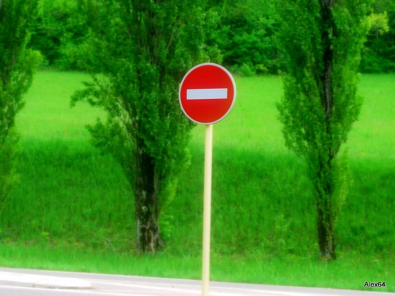 186.jpg