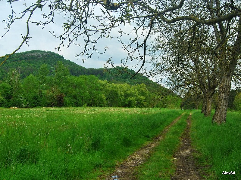 215.jpg