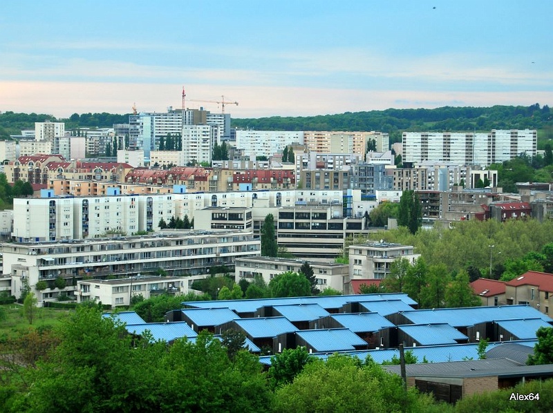 239.jpg