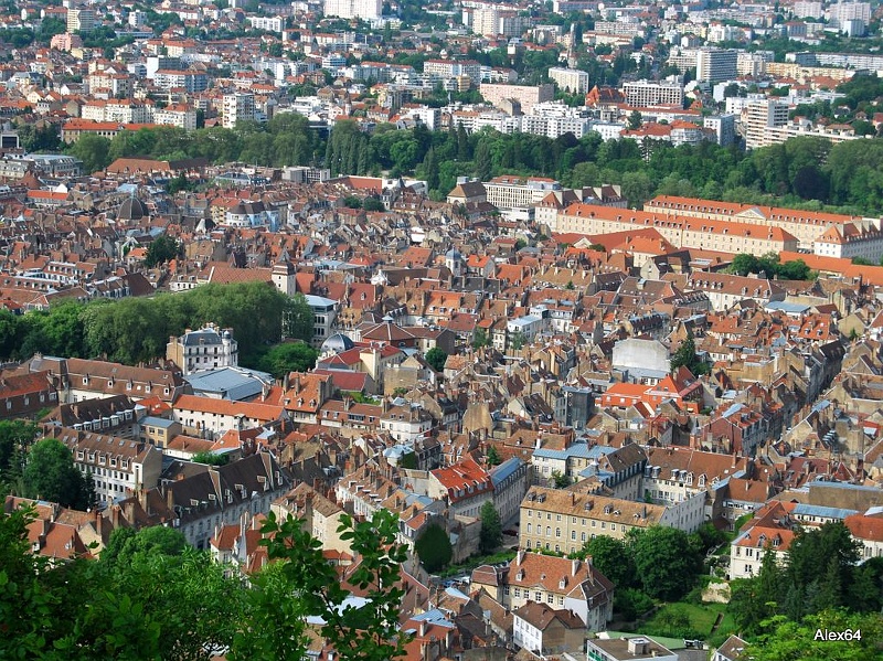 251.jpg