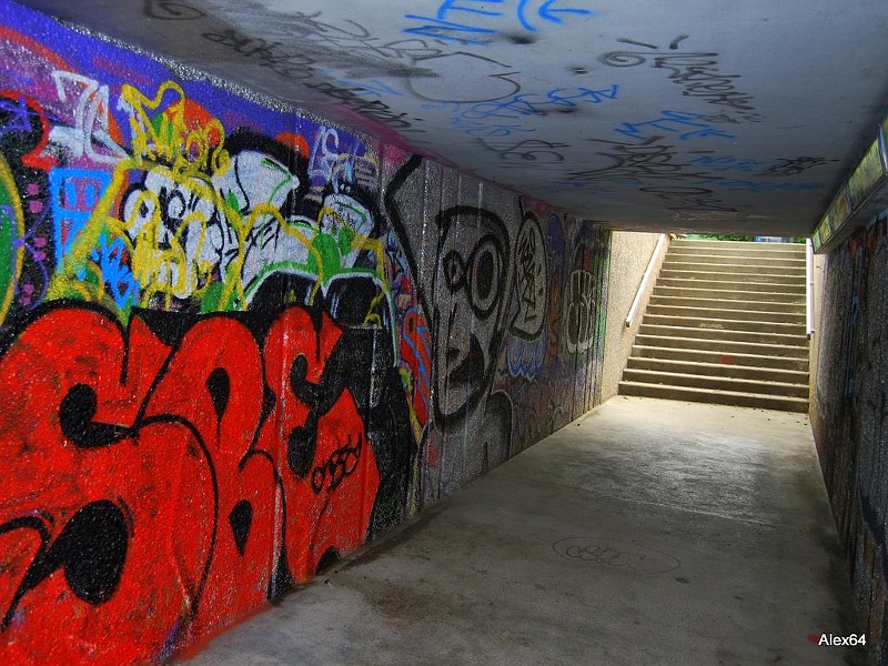 274.jpg