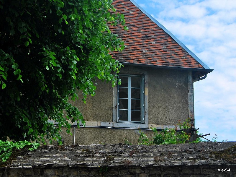 285.jpg