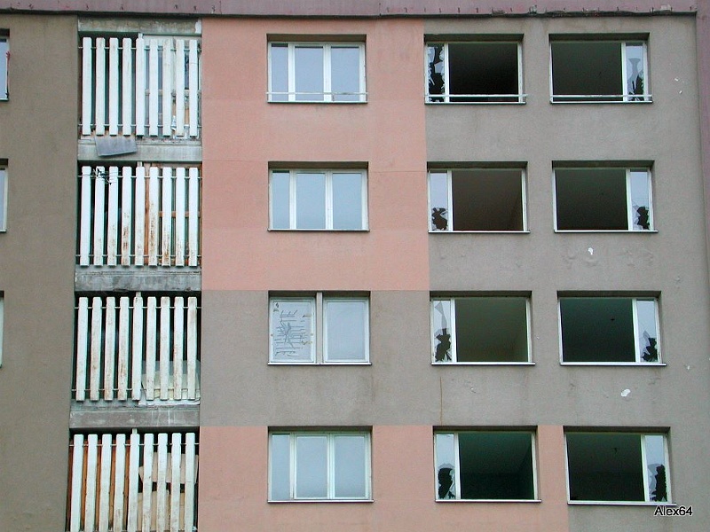 313.jpg