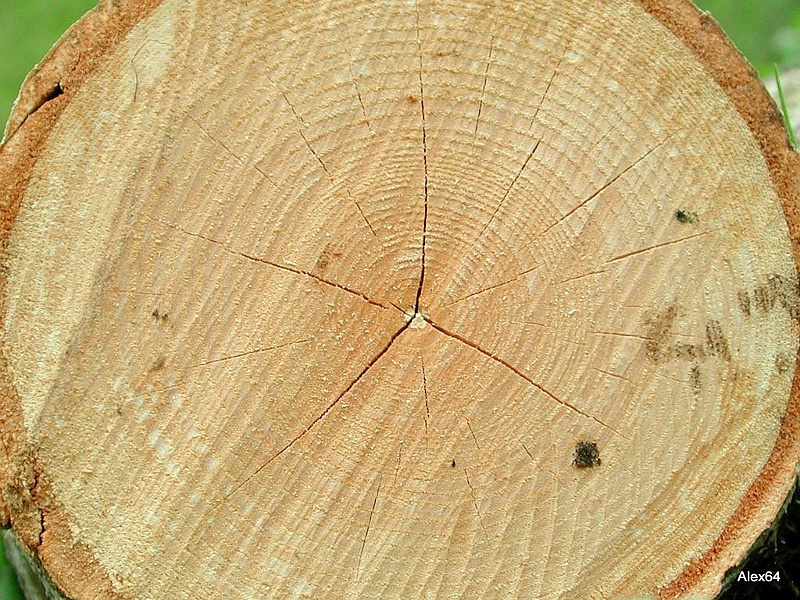 329.jpg