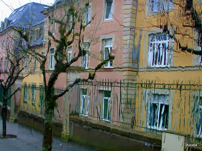 345.jpg