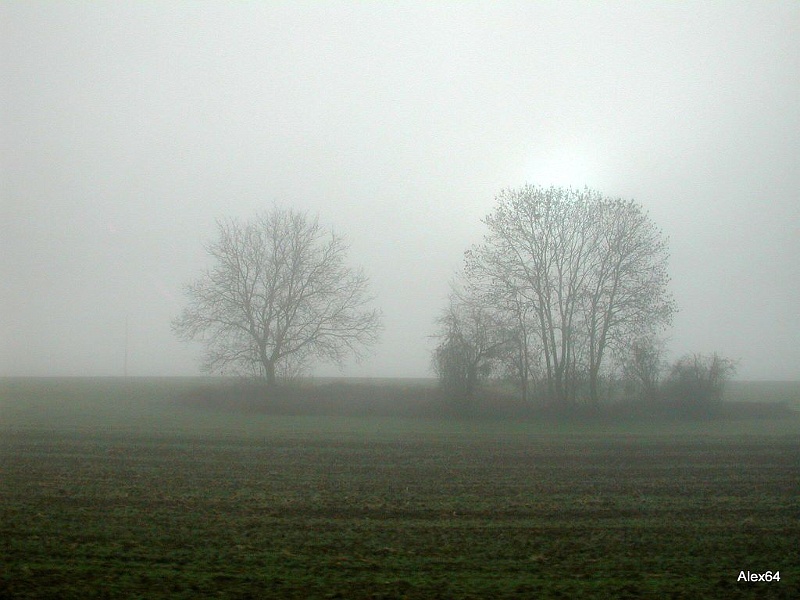 356.jpg