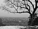 bain-094