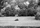 bain-148