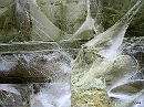 bain-348