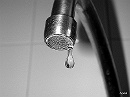 bain-382