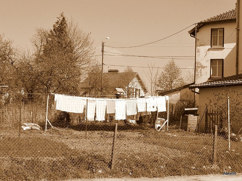 008.JPG