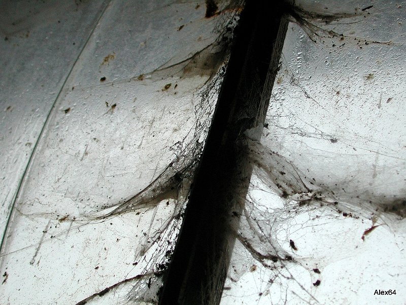 105.jpg