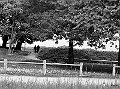 053