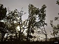 061