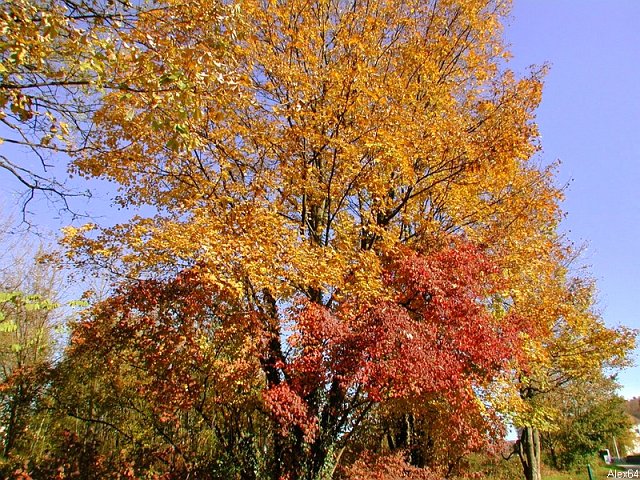 050