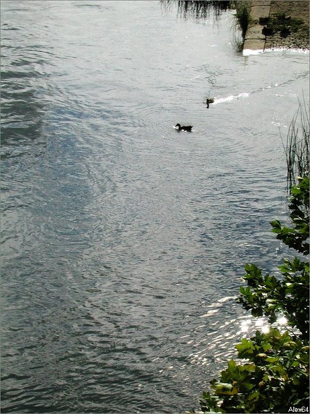 Balade-038