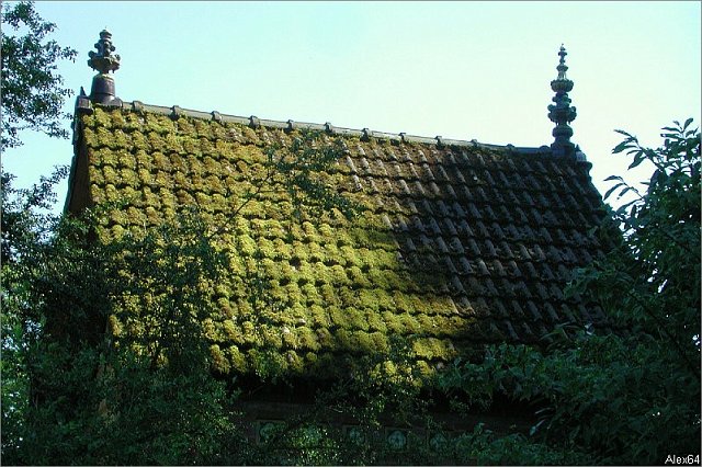 Balade-354