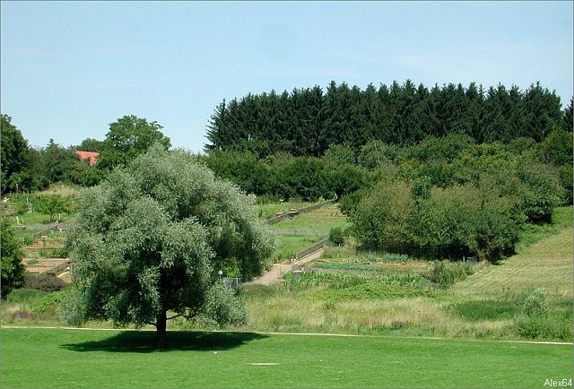 Balade-369