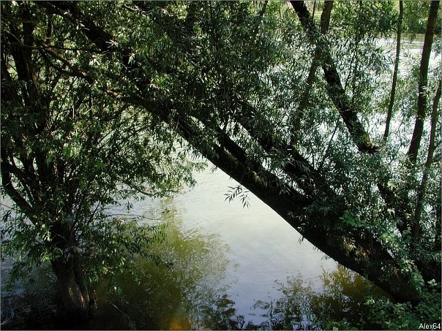 Balade-386
