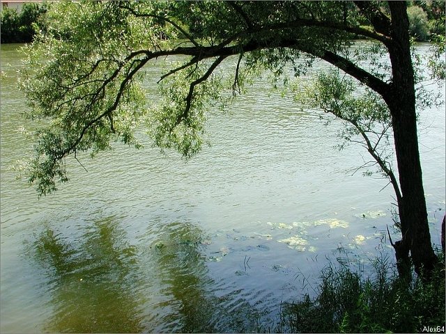 Balade-396
