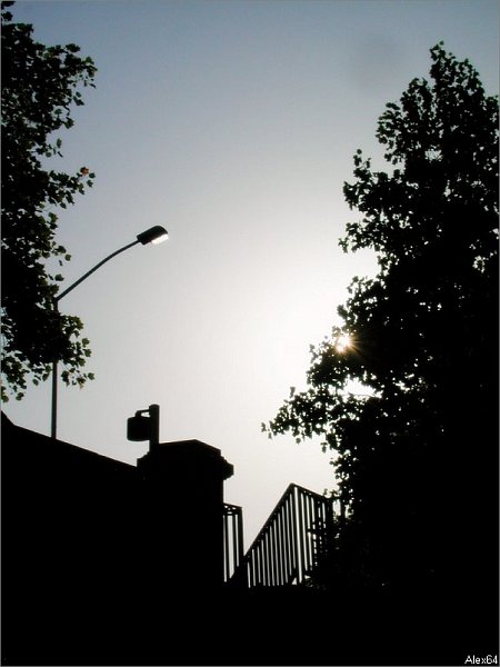 Balade-484