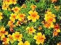 044