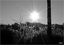 023