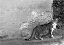 170