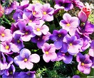 089