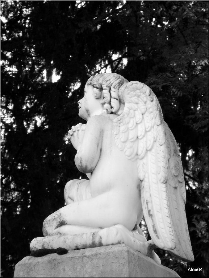 Vaites-Cimetiere-Chaprais055.JPG
