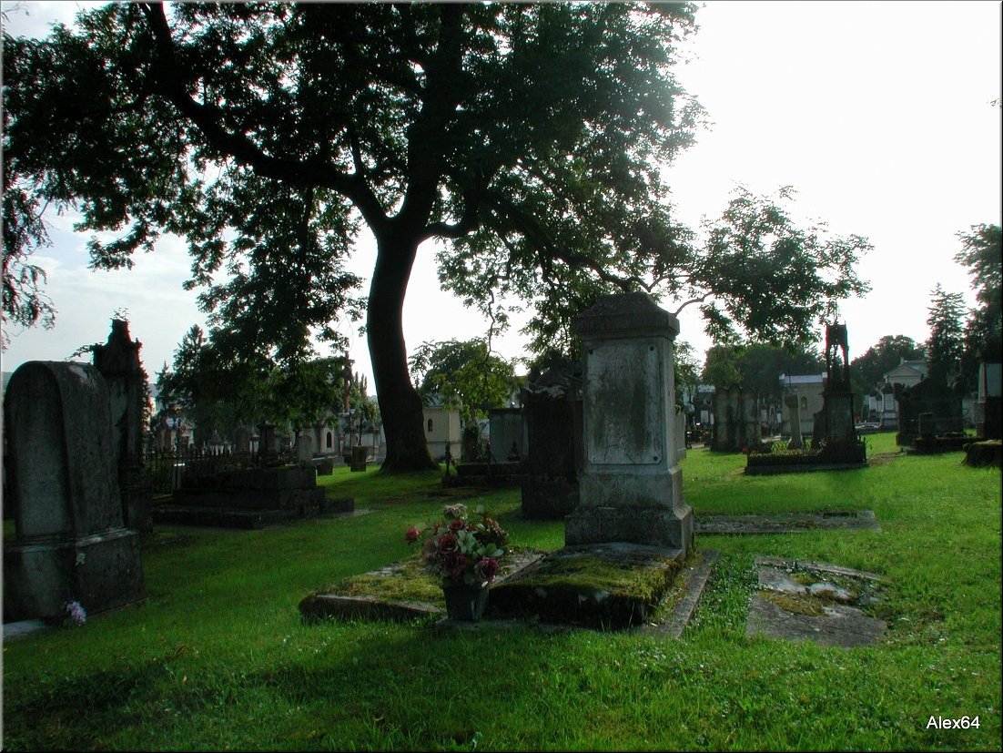 Vaites-Cimetiere-Chaprais065.JPG