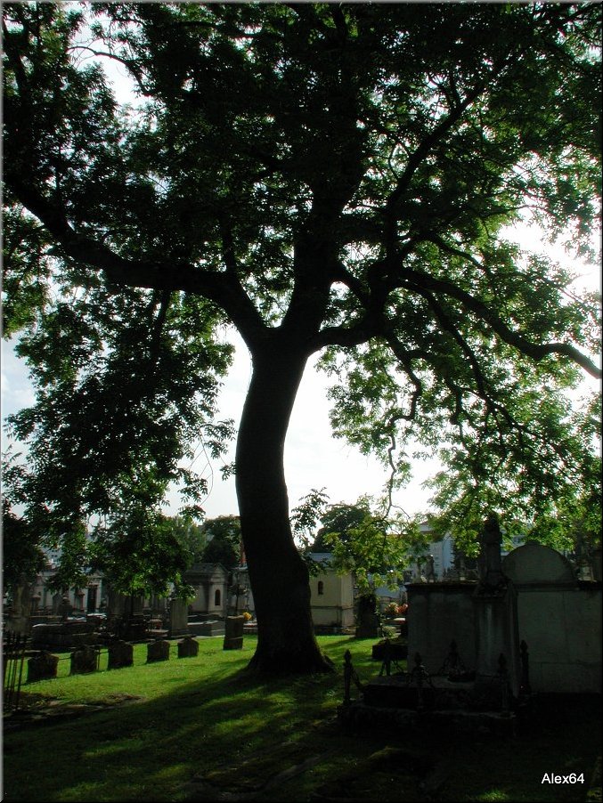 Vaites-Cimetiere-Chaprais066.JPG