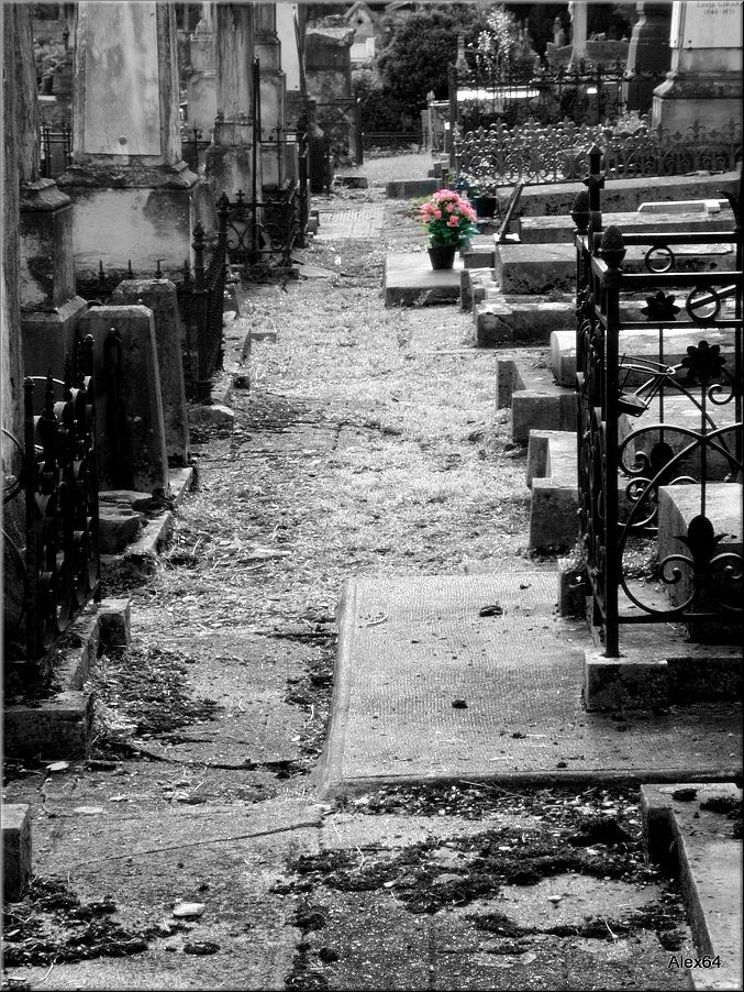 Vaites-Cimetiere-Chaprais070.JPG
