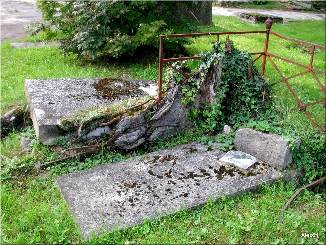 Vaites-Cimetiere-Chaprais071.JPG