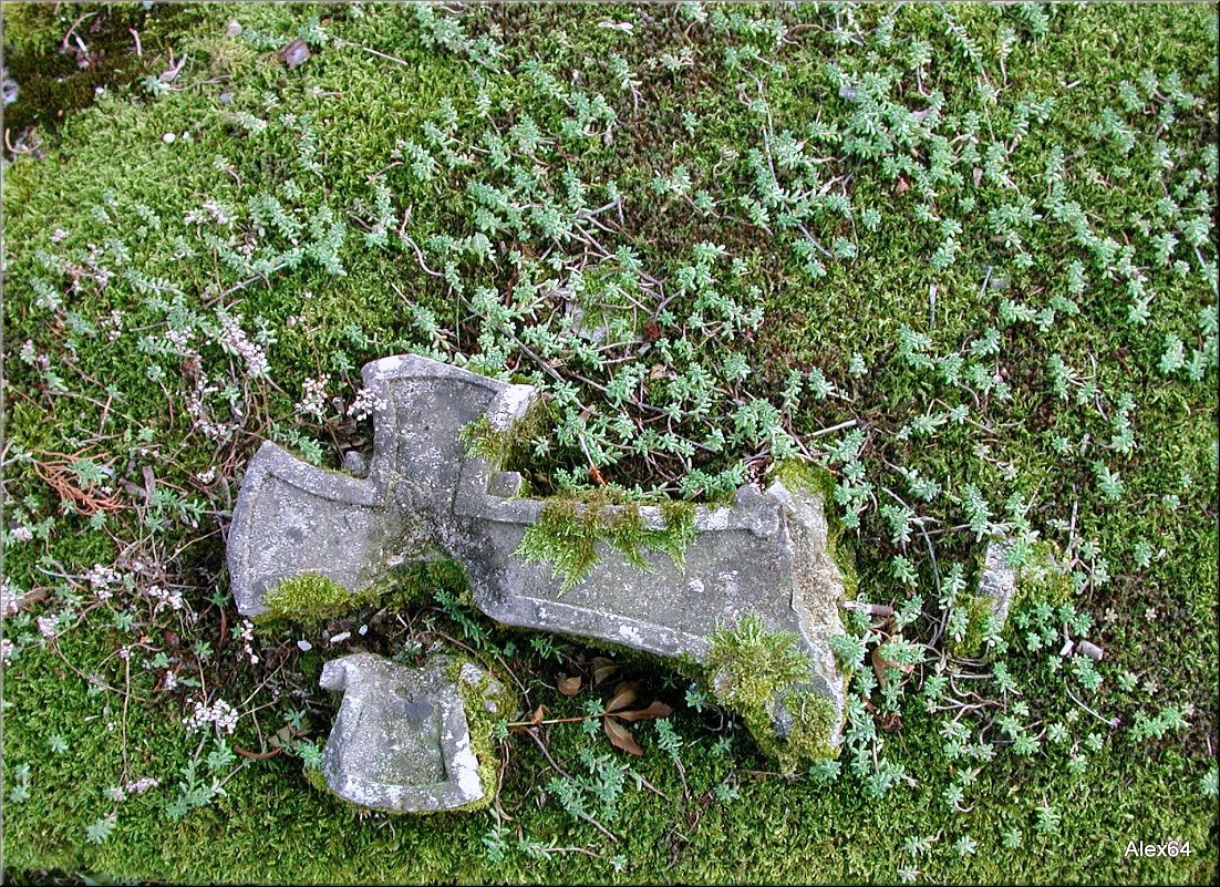 Vaites-Cimetiere-Chaprais075.JPG