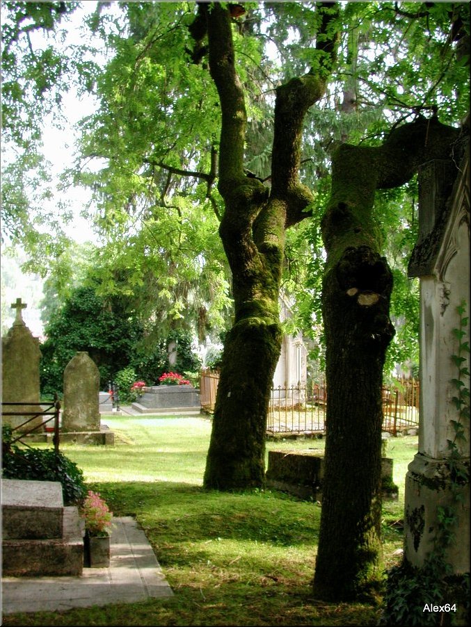 Vaites-Cimetiere-Chaprais079.JPG