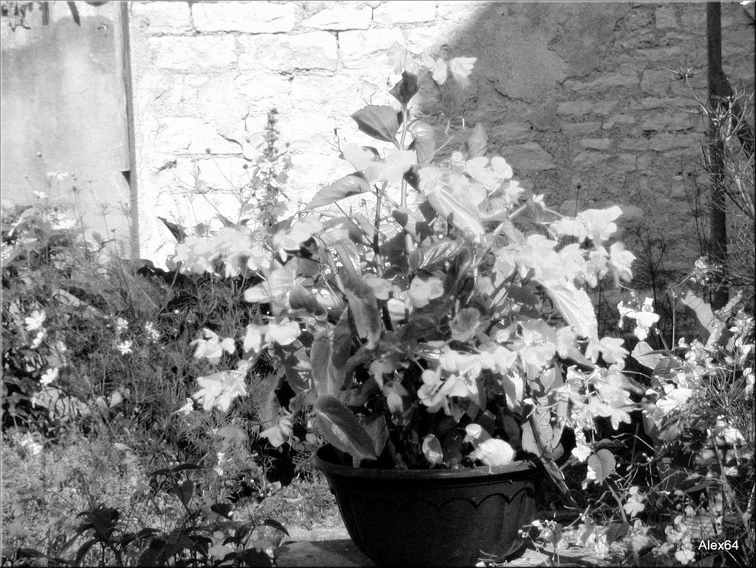 Vaites-Cimetiere-Chaprais087.JPG