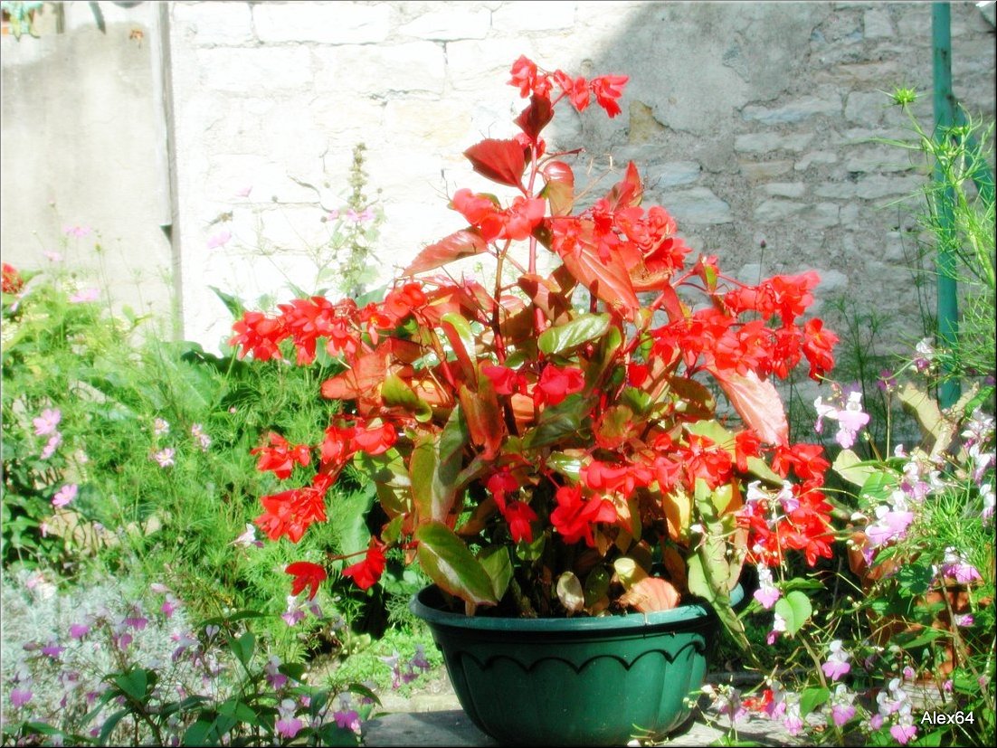 Vaites-Cimetiere-Chaprais088.JPG