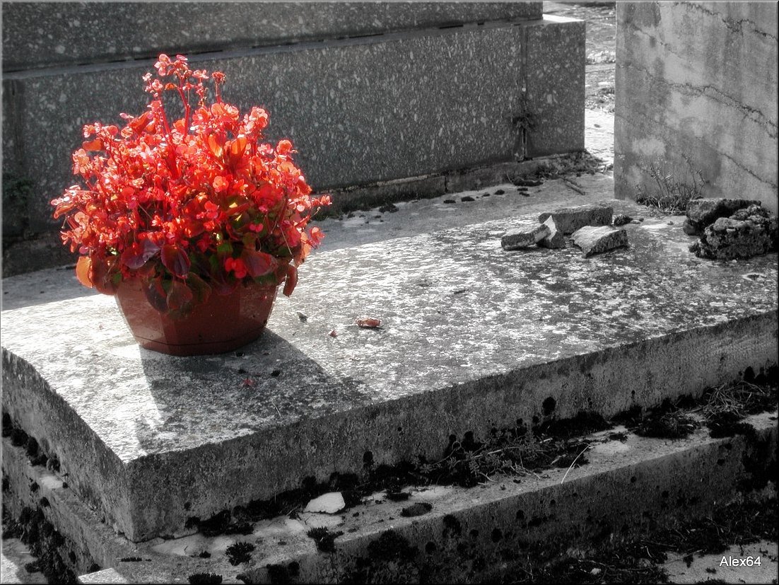 Vaites-Cimetiere-Chaprais093.JPG