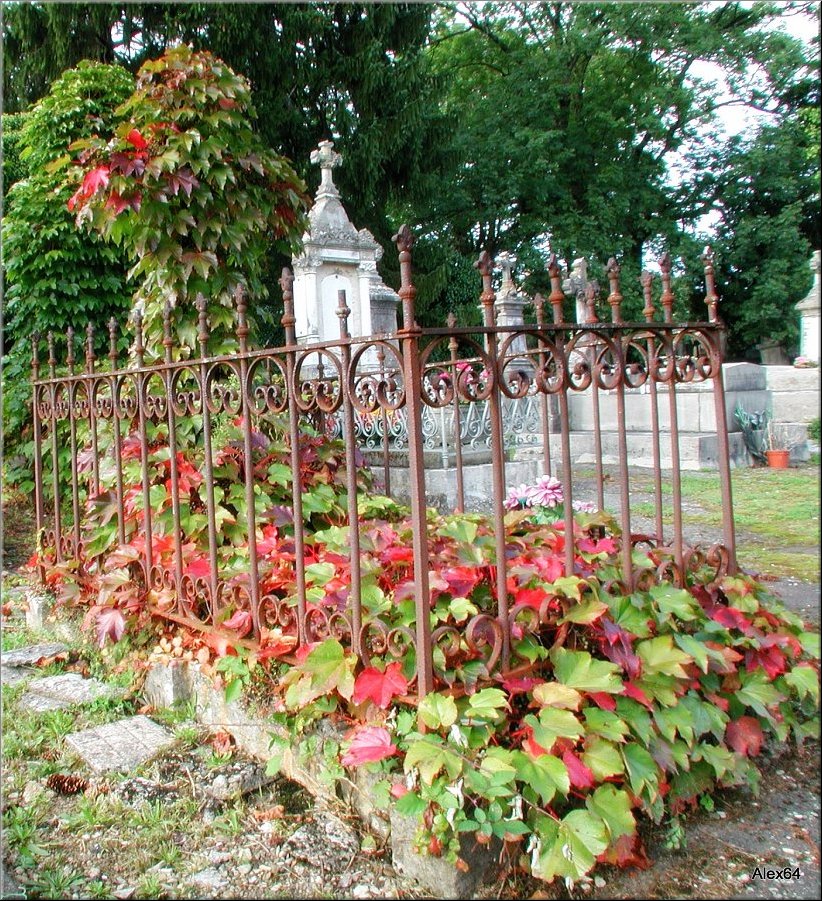 Vaites-Cimetiere-Chaprais094.JPG