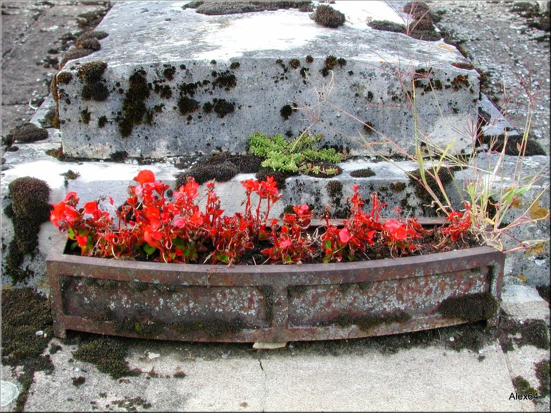 Vaites-Cimetiere-Chaprais102.JPG