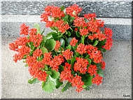 082