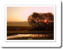 Sâone, un beau matin