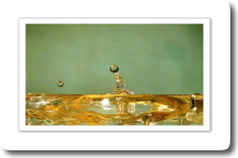 Goutte