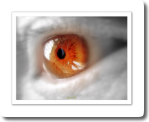 Chaleur du regard