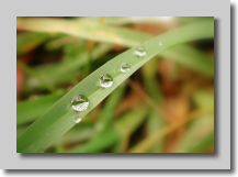 sueur de diamants