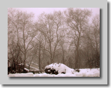 Neige