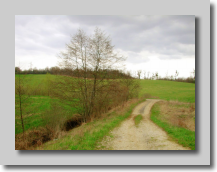 Le chemin de chez moi